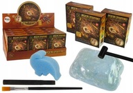 SÚPRAVA VYKOPÁVANIA STAROVEKÉ TVORY AMMONITE NI SÚPRAVA VYKOPÁVANIA STAROVEKÉ TVORY AMMONITE NI
