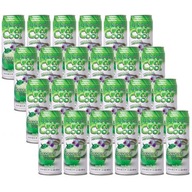 Coco Cool Kokosová voda 24 x 520 ml
