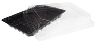 TAKE AWAY NÁDOBY NA SUSHI 19x13 50 ks + VEKO TAKE AWAY NÁDOBY NA SUSHI 19x13 50 ks + VEKO