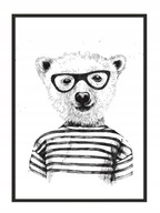 OBRAZOVÝ PLAGÁT V RÁME 53x73 cm Medvedík Hipster P949 OBRAZOVÝ PLAGÁT V RÁME 53x73 cm Medvedík Hipster P949
