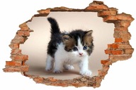 3D nálepka na stenu s otvorom - CAT (75x50cm) 3D nálepka na stenu s otvorom - CAT (75x50cm)