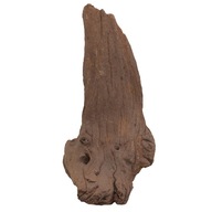 Africký železný koreň do akvária 29x10x10cm L146