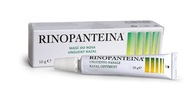 Rinopanteín, nosová masť z lekárne, 10 g E- Namex Rinopanteín, nosová masť z lekárne, 10 g E- Namex