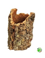 AM AMAZOONIA KORKOVÝ DUB priemer 14-18 cm, dĺžka 40-45 cm AM AMAZOONIA KORKOVÝ DUB priemer 14-18 cm, dĺžka 40-45 cm