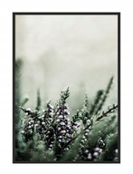 OBRAZOVÝ PLAGÁT V RÁME 33x43 cm Lúka P1773 OBRAZOVÝ PLAGÁT V RÁME 33x43 cm Lúka P1773