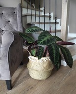 Boho scandi košík z morskej trávy s prírodným strapcom Boho scandi košík z morskej trávy s prírodným strapcom
