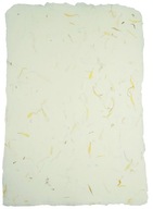 Ručne vyrobený kvetinový nechtíkový papier A4 5 listov. Ručne vyrobený kvetinový nechtíkový papier A4 5 listov.