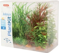 Zolux Dekorácia rastlín PLANTKIT JALAYA model 4 Zolux Dekorácia rastlín PLANTKIT JALAYA model 4