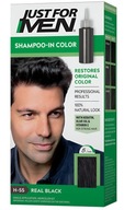 Odmasťovač vlasov pre mužov Just For Men H55 Black Black + aplikátor Odmasťovač vlasov pre mužov Just For Men H55 Black Black + aplikátor