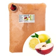 JABLKO CITRÓNOVÁ šťava 100% NFC lisovaná NATURAL 5L JABLKO CITRÓNOVÁ šťava 100% NFC lisovaná NATURAL 5L