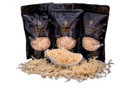 FRESH IRISH MOSS Írsky mach RAW VEGAN 100g PL