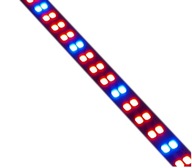 led pás rast 5630 ip20 1m 144 led DUBLO led pás rast 5630 ip20 1m 144 led DUBLO