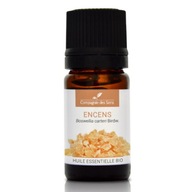 Kadidlo - prírodný esenciálny olej 5 ml Kadidlo - prírodný esenciálny olej 5 ml