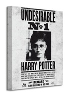 Harry Potter Nežiaduci obraz na plátne Nástenné obrazy 30x40 cm Harry Potter Nežiaduci obraz na plátne Nástenné obrazy 30x40 cm