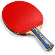 Pingpongová pálka na stolný tenis METEOR 6*
