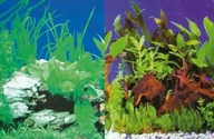 Záľuby aqua pozadie 30cm rastliny/rastliny 25M