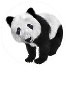 OBLÁTKA A3 OD 22CM - 29CM MEDVEĎ PANDA OBLÁTKA A3 OD 22CM - 29CM MEDVEĎ PANDA