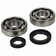 Tesnenie hriadeľa ložísk Beta RR 350-520 4T 10-22 Tesnenie hriadeľa ložísk Beta RR 350-520 4T 10-22