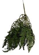 PRADEŇ závesná, umelá ZÁVESNÁ, ZELENÁ STENA, 66 cm PRADEŇ závesná, umelá ZÁVESNÁ, ZELENÁ STENA, 66 cm