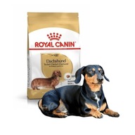 Royal Canin SHN Breed Jazvečík krmivo 1,5 kg