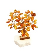 Tree Tree Amber Souvenir Gift+Cert Tree Tree Amber Souvenir Gift+Cert