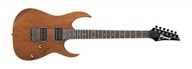 Elektrická gitara Ibanez RG421-MOL