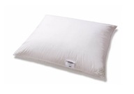 Vankúš páperový 70% 50x60 Basic+ 500g biely Vankúš páperový 70% 50x60 Basic+ 500g biely