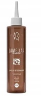MILA PROFESSIONAL IQ CARE LAMELARNA VODA 250 ML MILA PROFESSIONAL IQ CARE LAMELARNA VODA 250 ML
