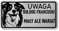 Pozor pes Border Collie sign Pozor pes Border Collie sign