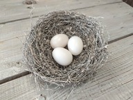 Pristávacie vajíčko pre holuby 1 ks