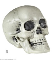 Dekorácia Kosti ľudskej lebky Skeleton Skull