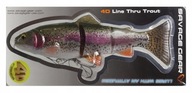 Savage Gear 4D LINE THRU TROUT guma 20cm RAINBOW Savage Gear 4D LINE THRU TROUT guma 20cm RAINBOW