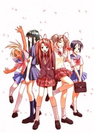 Plagát Anime Manga Love Hina loh_009 A2 Plagát Anime Manga Love Hina loh_009 A2