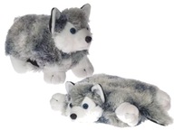 Psík HUSKY / VANKÚŠ 2v1 plyšová dekorácia MASKOT Psík HUSKY / VANKÚŠ 2v1 plyšová dekorácia MASKOT