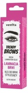 VENITA Stylingové lepidlo na lamináciu obočia Trendy Brows 8g VENITA Stylingové lepidlo na lamináciu obočia Trendy Brows 8g