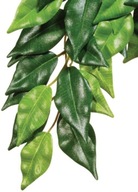 EXO TERRA ZÁVISNÁ RASTLINA FIKUS 70CM EXO TERRA ZÁVISNÁ RASTLINA FIKUS 70CM