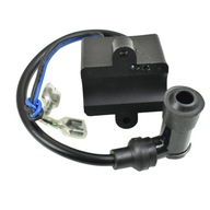 MODUL ZAPAĽOVACÍCH CIEVKOV MOTOR NA BICYKEL 48cc cievka,modul MODUL ZAPAĽOVACÍCH CIEVKOV MOTOR NA BICYKEL 48cc cievka,modul