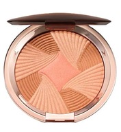 ESTEE LAUDER BROWNING FACE POWDER 01 ESTEE LAUDER BROWNING FACE POWDER 01