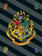 Harry Potter JERRY FABRICS fleecová deka 100x150