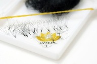 FAN EYELSHES SILK TUNTS 8D-0,07 TWIST C-1000 KS 1671 - 11 mm FAN EYELSHES SILK TUNTS 8D-0,07 TWIST C-1000 KS 1671 - 11 mm