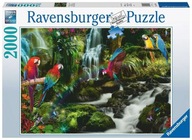 Puzzle 2000 dielikov Papagáje v džungli