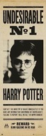 Plagát Harryho Pottera nežiaduceho hľadania 53x158