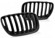 Dummy Grill Tuning Black Glossy BMW X5 e53 Lci