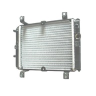 RADIATOR Quad E-TON VECTOR 250cc OEM! RADIATOR Quad E-TON VECTOR 250cc OEM!