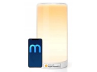 Stolná lampa MEROSS MSL430HK EU Stolná lampa MEROSS MSL430HK EU