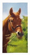 Osuška 70x140cm - Kôň Osuška 70x140cm - Kôň