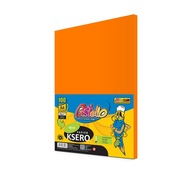 A4 KOPÍROVACÍ PAPIER 100ks 80g NEON POM IT371 PASTELLO A4 KOPÍROVACÍ PAPIER 100ks 80g NEON POM IT371 PASTELLO