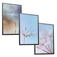 Plagáty Dandelions Sky 3 50x70 do obývačky Plagáty Dandelions Sky 3 50x70 do obývačky