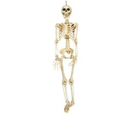 MODEL ĽUDSKEJ SKELETY HALLOWEENSKEJ SKELET 90CM