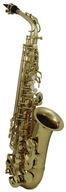 Roy Benson RB700601 Eb-Alt saxofón AS-202 študent